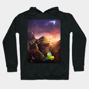 Bird Valley Hoodie